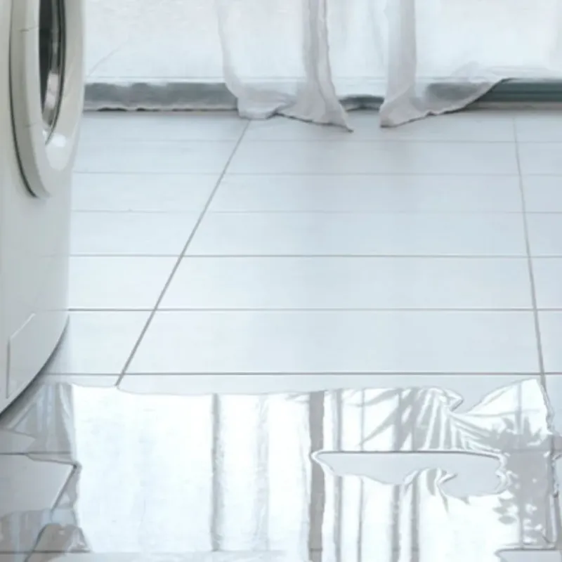 Appliance Leak Cleanup in Citrus Heights, CA